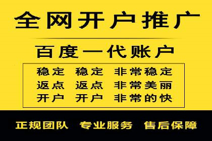 网络推广与竞价优化成功案例